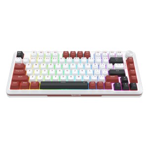 کیبورد گیمینگ مکانیکال با سیم ردراگون مدل Stormhunter K721 WRB RGB